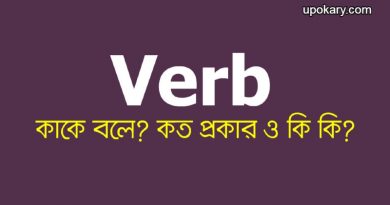 Verb