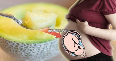 muskmelon