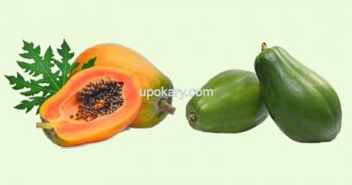 papaya for digestion