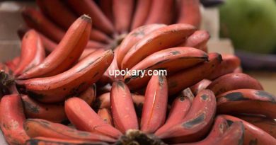 red banana