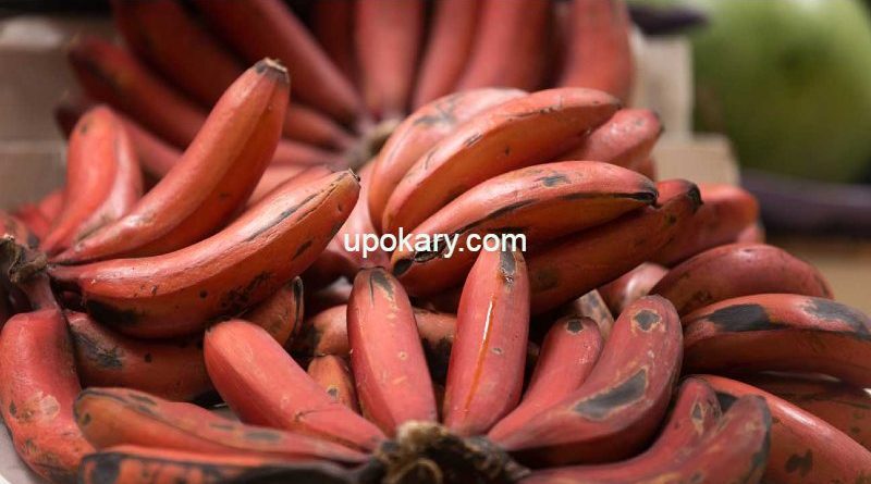 red banana