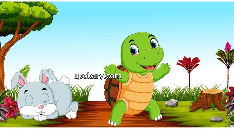 tortoise and hare