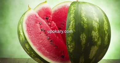 watermelon fruit
