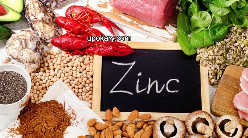 zinc high food