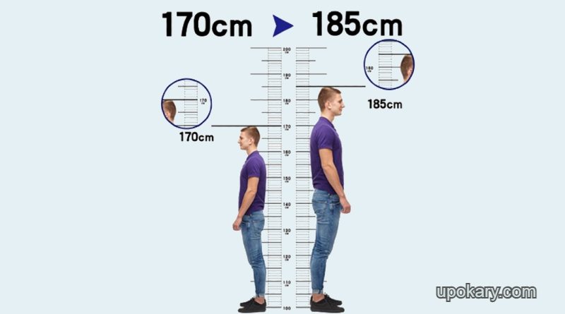 Foods That Make You Taller