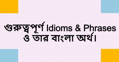 Idioms & Phrases