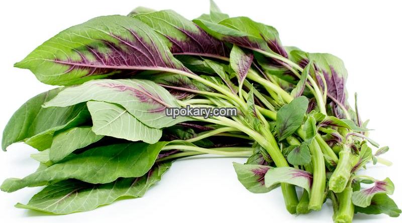 amaranthleaves