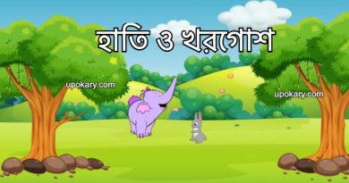 elephant and rabbite stroy