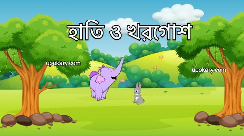 elephant and rabbite stroy