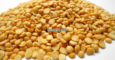 pigeon pea