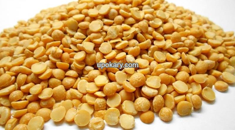 pigeon pea