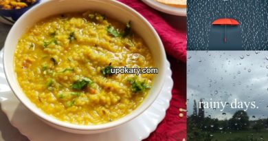 rainykhichdi