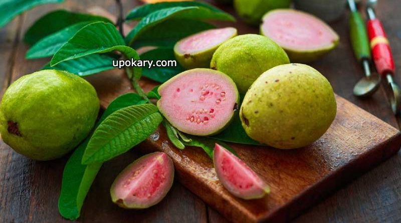red guava with green leaf