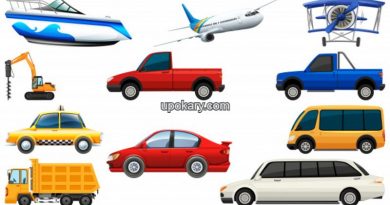 set-transportation-vehicle