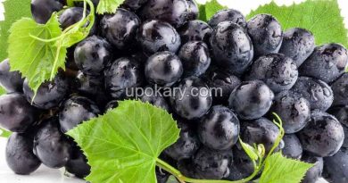 Black grapes
