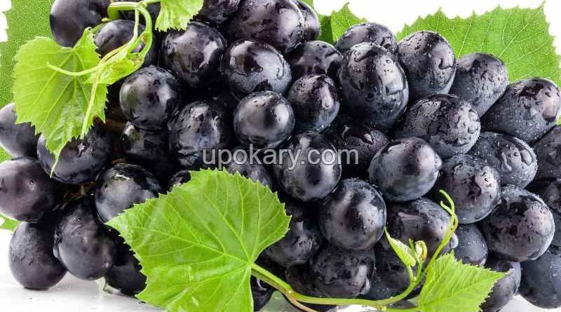 Black grapes