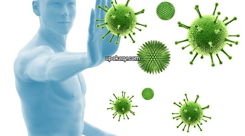 Boost Natural Defenses