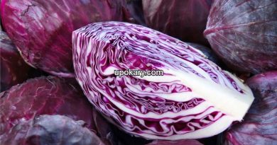 Red-Cabbage