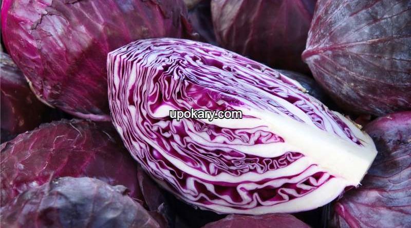 Red-Cabbage