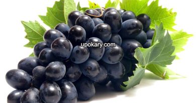 black grape
