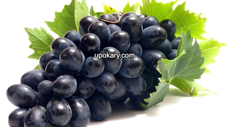 black grape