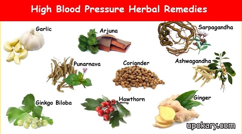 herbs for high blood pressure