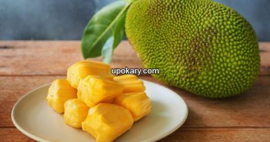 Jackfruit