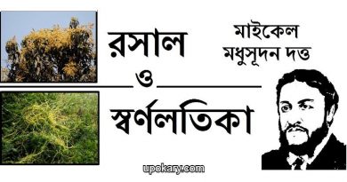 Rosalo o sornolotika