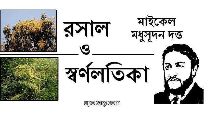 Rosalo o sornolotika