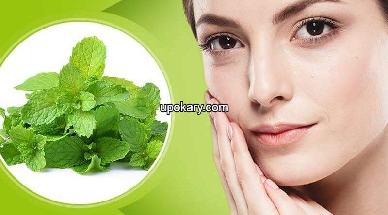 mint leaves beauty benefits