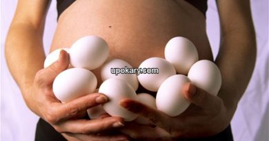 momeggs