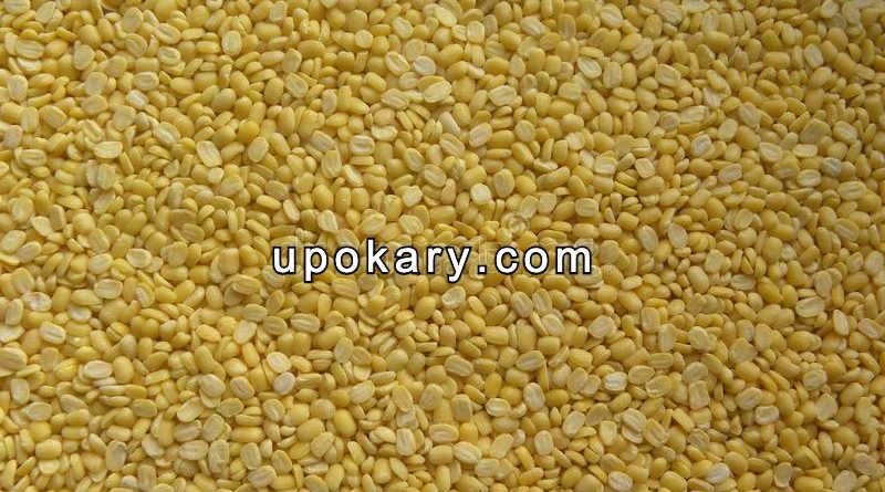 mung dal