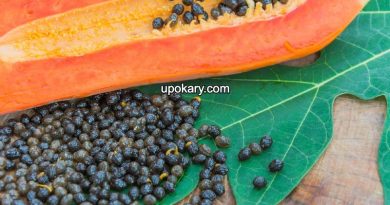 papaya seeds