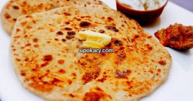 paratha