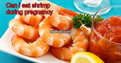 shrimpformother