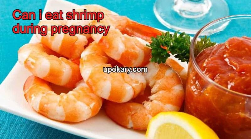 shrimpformother