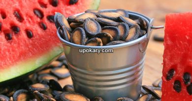 watermelon seeds