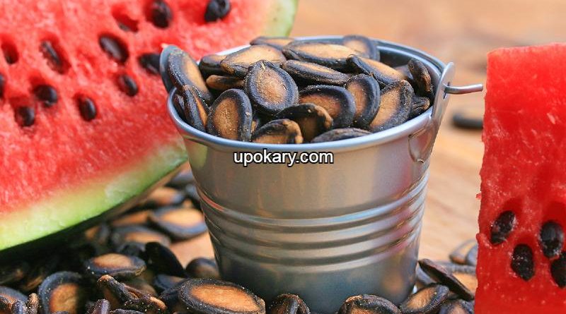 watermelon seeds