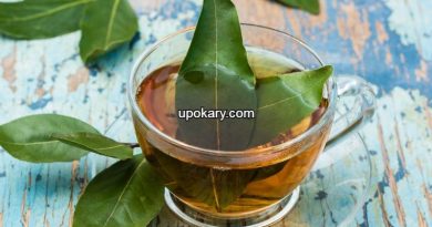 Bay Leaf Tea