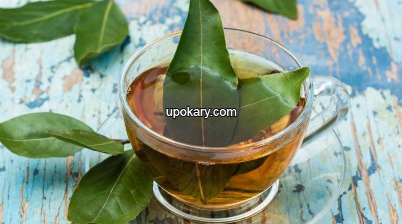 Bay Leaf Tea