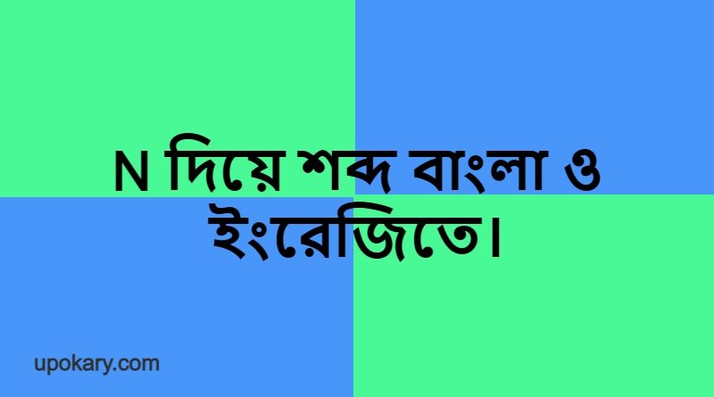 N language