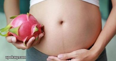 dragon fruit for pregnancy