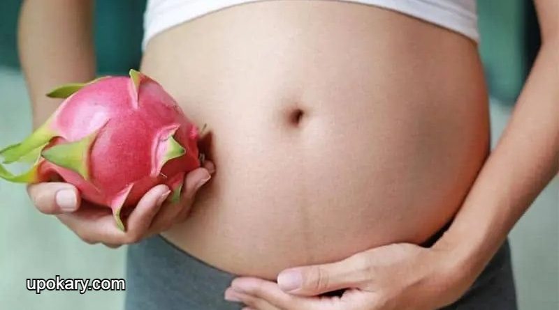 dragon fruit for pregnancy
