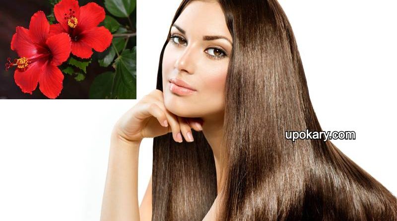 hair for hibiscus