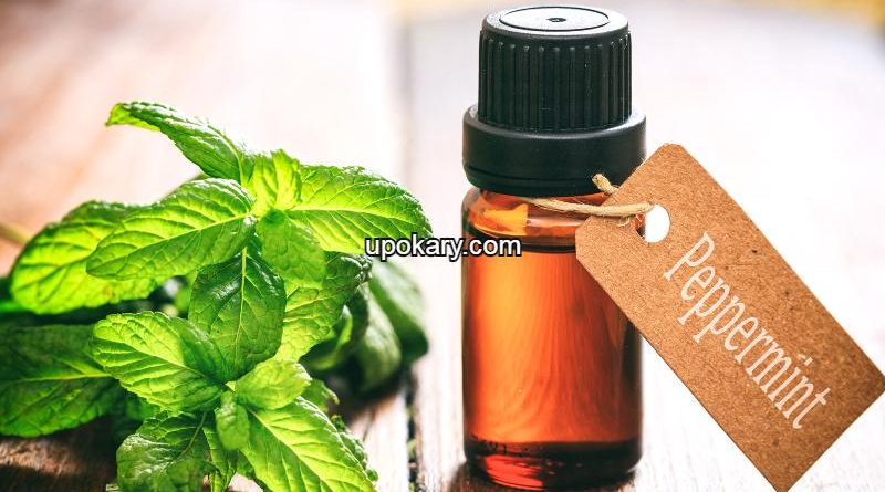 peppermint oil