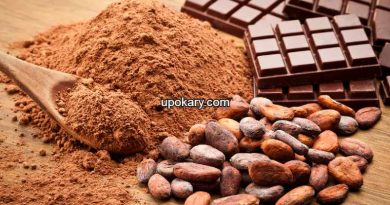 Cocoa powder