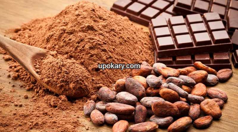 Cocoa powder