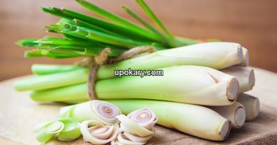 lemon grass or Thai leaves