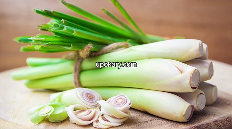 lemon grass or Thai leaves