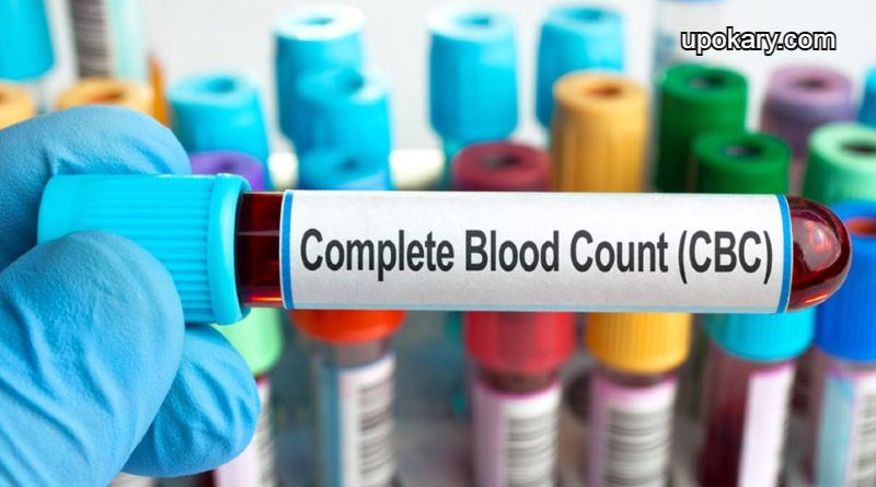 complete blood count